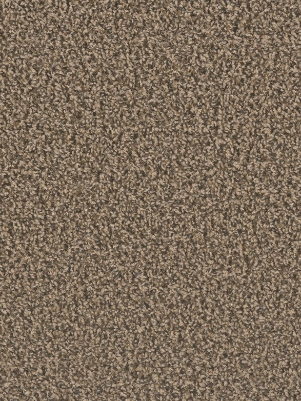 Medallion1 Flooring - 760 – Medallion1 Collection – Carpet