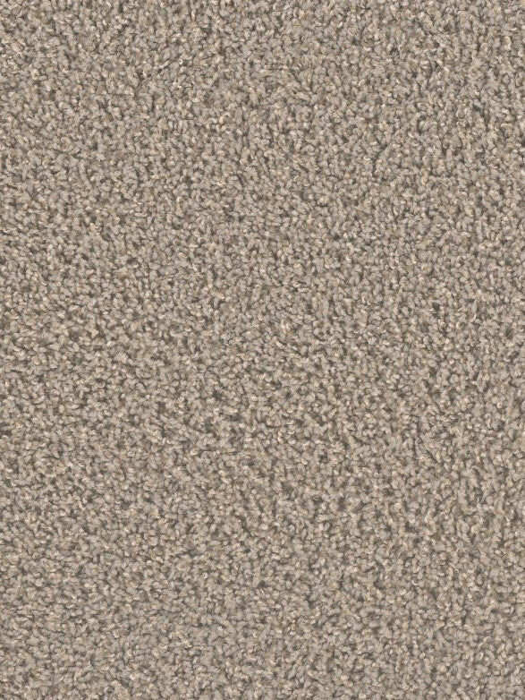 Medallion1 Flooring - 835 – Medallion1 Collection – Carpet