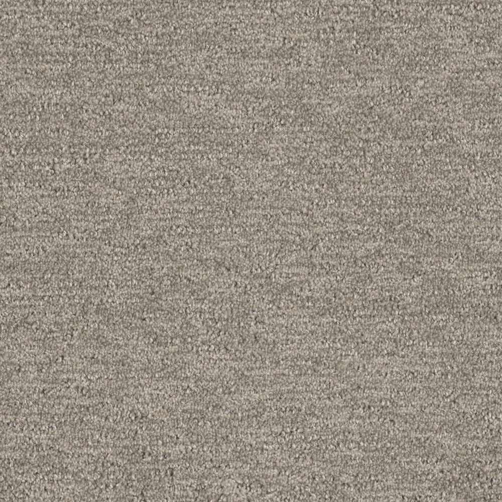 Medallion1 Flooring - 2850 – Medallion1 Collection – Carpet