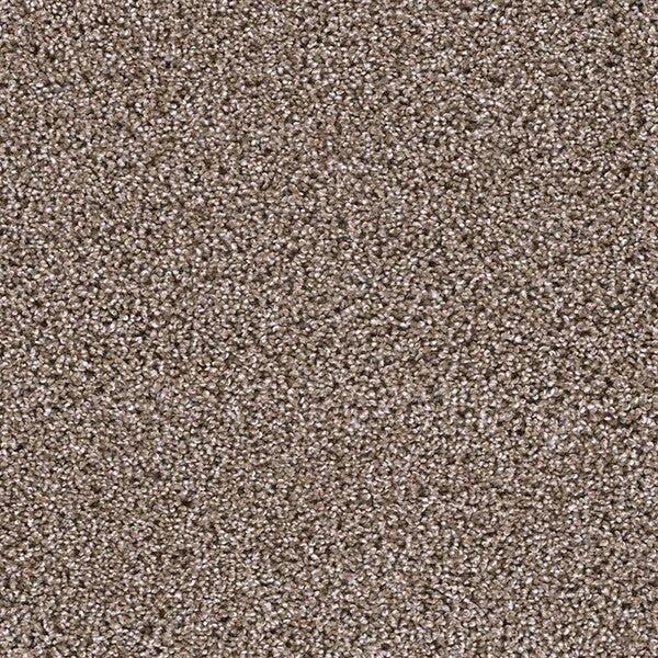 TAS Flooring - Prairie - 100% PureColor™ - Badlands - Carpet