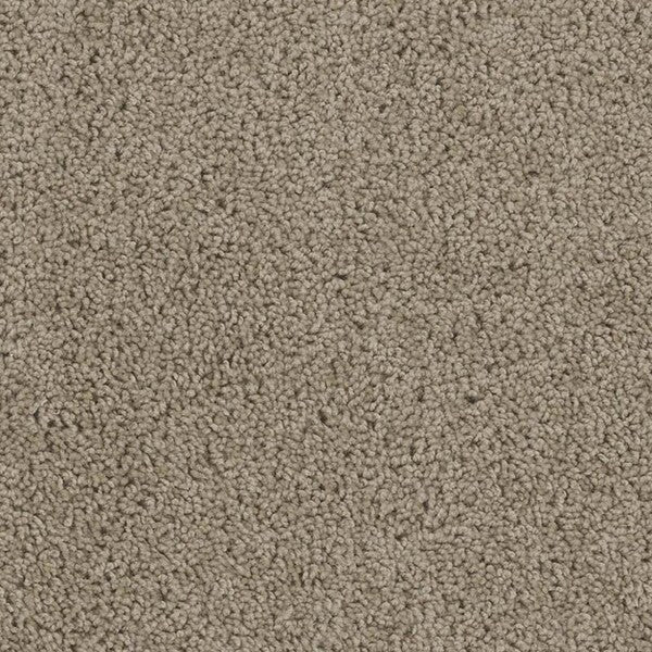 TAS Flooring - Landscape Arch - 100% PureColor™ - Arches - Carpet