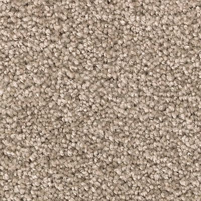 Mohawk - Walnut Frost - Striking Option - SmartStrand - Carpet