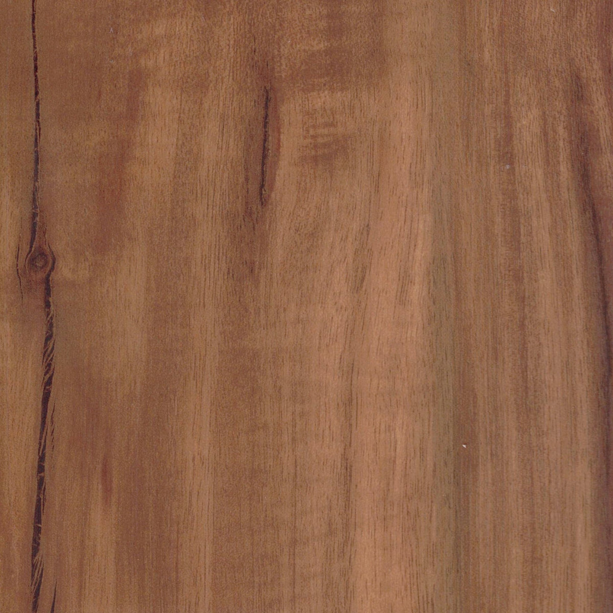 GoldenKoa7.7mm_1200x1200.jpg?v GoldenKoa7.7mm_1200x1200.jpg?v
