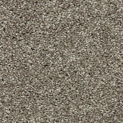 Mohawk - Heirloom - Tonal Allure II - SmartStrand - Carpet