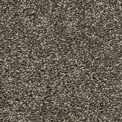 Mohawk - Portobello - Tonal Allure II - SmartStrand - Carpet