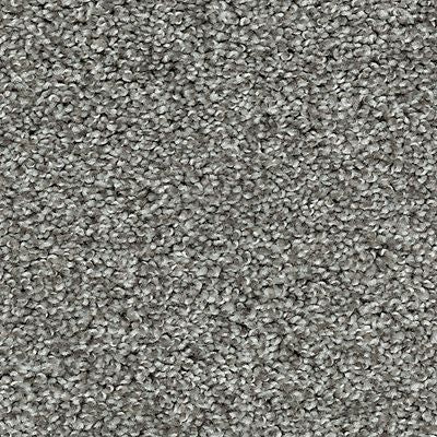 Mohawk - Meteorite - Tonal Allure II - SmartStrand - Carpet
