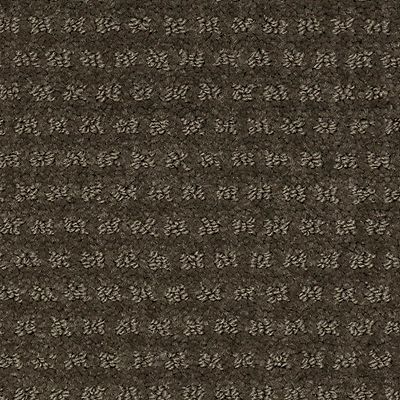 Mohawk - Mineral Brown - Natural Intuition - SmartStrand - Carpet