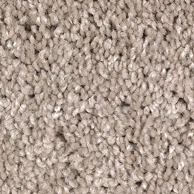 Mohawk - River Pebble - Tender Moment - SmartStrand - Carpet
