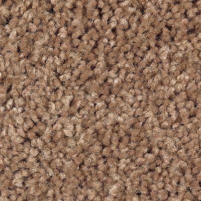 Mohawk - Rich Maple - Tender Moment - SmartStrand - Carpet