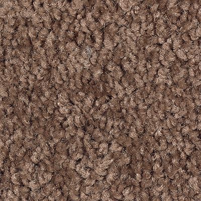 Mohawk - Hot Chocolate - Tender Moment - SmartStrand - Carpet