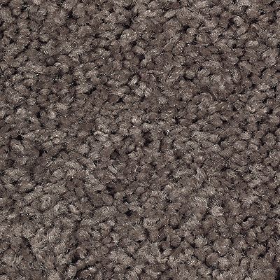 Mohawk - Dried Peat - Tender Moment - SmartStrand - Carpet