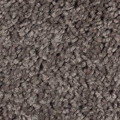 Mohawk - Dried Peat - Sweet Reflection - SmartStrand - Carpet