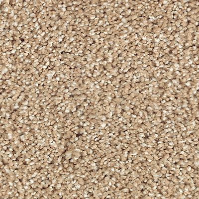 Mohawk - Natural Grain - Natural Refinement I - SmartStrand Silk - Carpet
