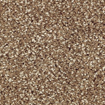 Mohawk - Rich Earth - Natural Refinement I - SmartStrand Silk - Carpet