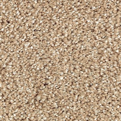 Mohawk - Natural Grain - Stonington Manor II - SmartStrand Silk - Carpet