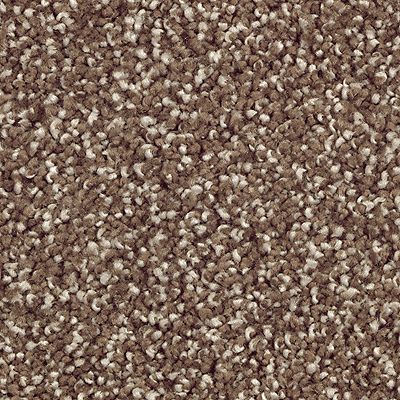 Mohawk - Dried Peat - Stonington Manor II - SmartStrand Silk - Carpet