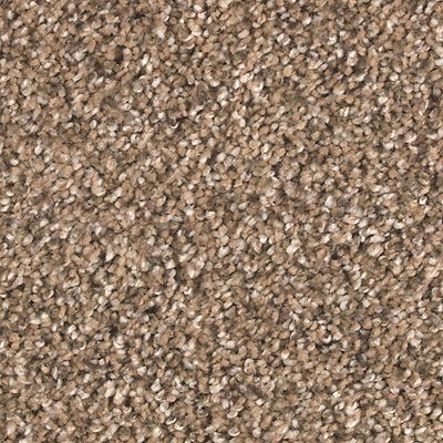 Mohawk - Autumn Brown - Nature's Elegance - SmartStrand - Carpet