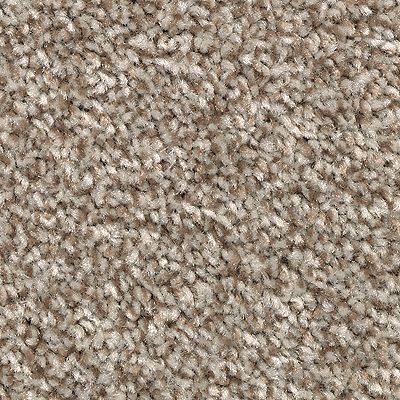 Mohawk - Dakota - True Harmony - SmartStrand - Carpet