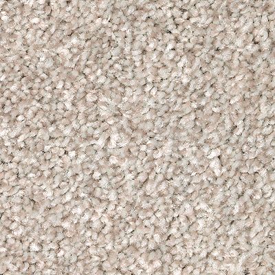 Mohawk - Turnstone - True Harmony - SmartStrand - Carpet
