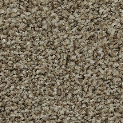 Mohawk - Yorktown - True Harmony - SmartStrand - Carpet