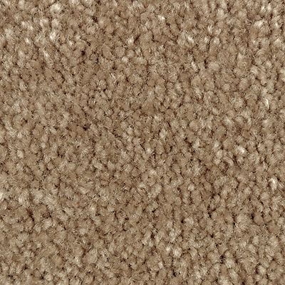 Mohawk - Desert Mud - Classical Design III - SmartStrand - Carpet