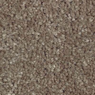 Mohawk - Coco Mocha - Classical Design III - SmartStrand - Carpet