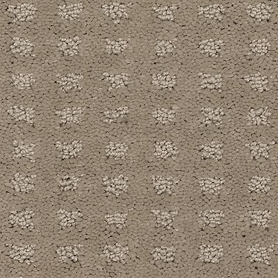 Mohawk - Thoughts Of Home - Outstanding Artistry - SmartStrand - Carpet