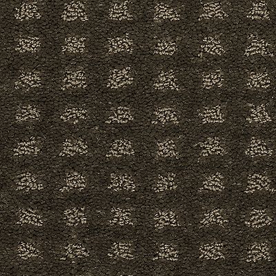 Mohawk - Cocoa - Outstanding Artistry - SmartStrand - Carpet
