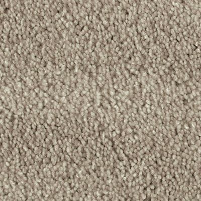 Mohawk - Java - Distinct Beauty II - EverStrand - Carpet