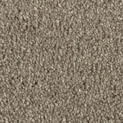 Mohawk - Beechnut - Distinct Beauty II - EverStrand - Carpet