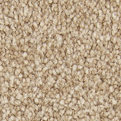 Mohawk - Honeycomb - Memorable View - SmartStrand - Carpet