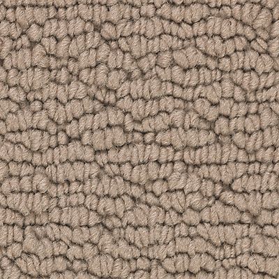 Mohawk - Griffin - Tailored Essence - SmartStrand - Carpet