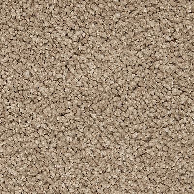Mohawk - Tudor Brown - Gentle Approach - SmartStrand Silk - Carpet