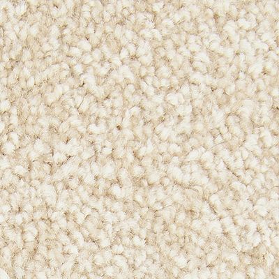 Mohawk - Mission - Exceptional Choice - SmartStrand - Carpet
