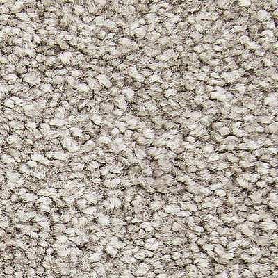 Mohawk - Walnut Frost - Exceptional Choice - SmartStrand - Carpet