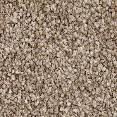 Mohawk - Timberlane - Exceptional Choice - SmartStrand - Carpet