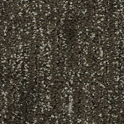 Mohawk - Dakota - Natural Texture - SmartStrand - Carpet