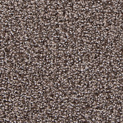 Mohawk - Gable - Refined Structure - UltraStrand - Carpet