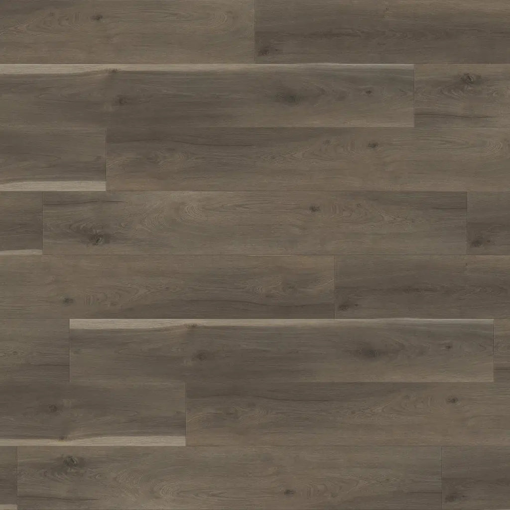 Paradigm Flooring - Sandpiper - Paradigm Collection - Vinyl Plank Flooring