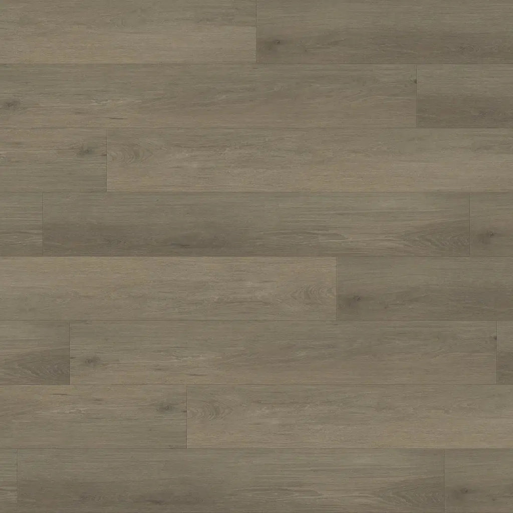 Paradigm Flooring - Tern - Paradigm Collection - Vinyl Plank Flooring