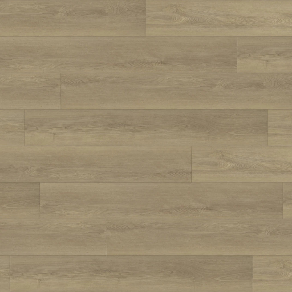 Paradigm Flooring - Swallow - Paradigm Collection - Vinyl Plank Flooring