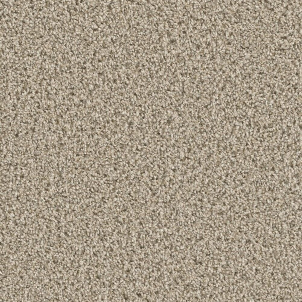 Medallion1 Flooring - Oxford 720 – Medallion1 Collection – Carpet