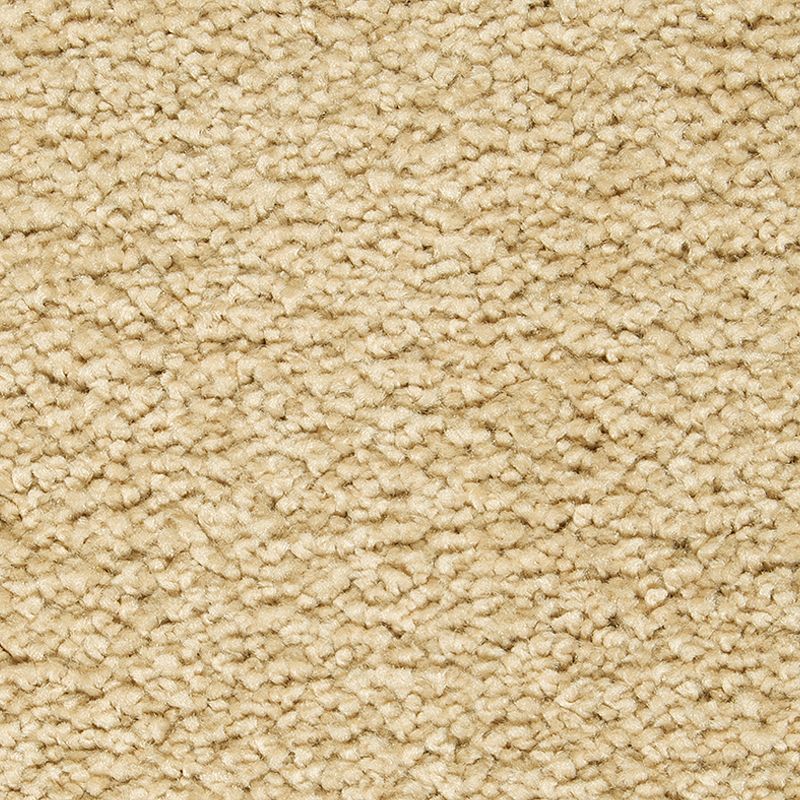 Mohawk Flooring - Crewelwork - Gentle Approach - SmartStrand Silk - Carpet