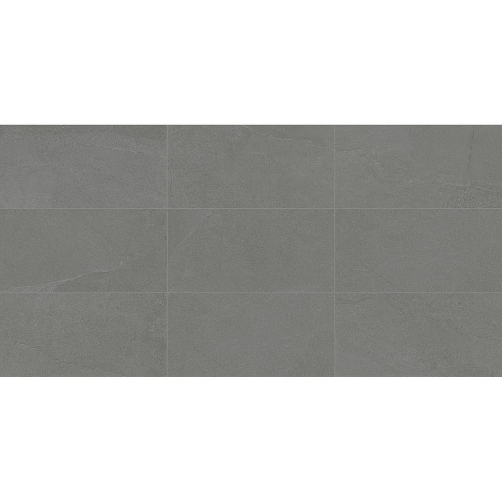 DalTile - Armor 12"x24" Matte StepWise - Calgary - Porcelain Tile