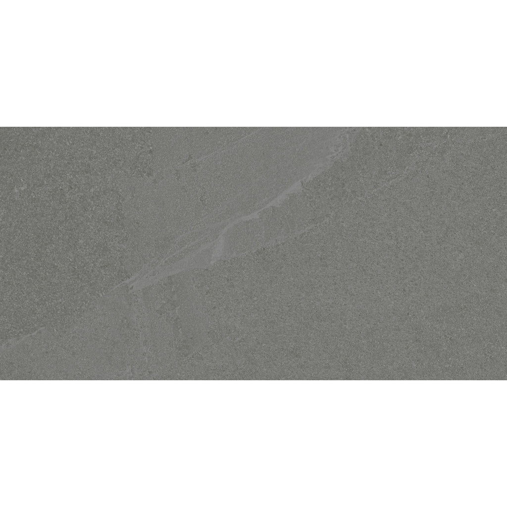 DalTile - Armor 12"x24" Matte StepWise - Calgary - Porcelain Tile