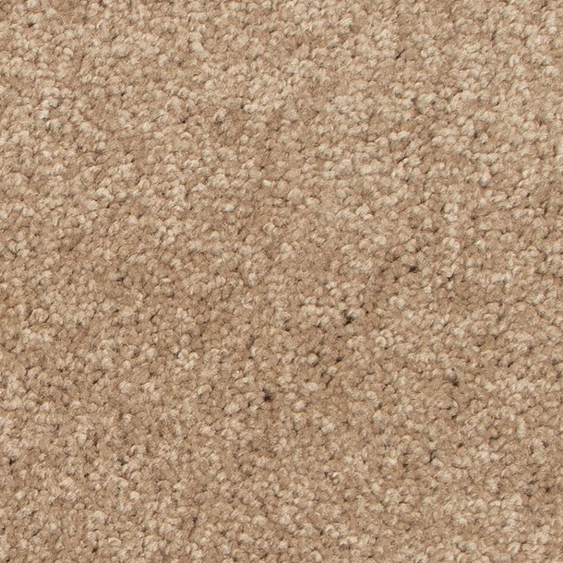 Mohawk Flooring - Deer Valley - Sweet Reflection II - SmartStrand - Carpet