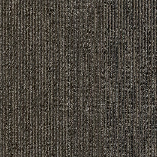 Philadelphia Commercial - Coverage - Document - 24"x24" Carpet Tile