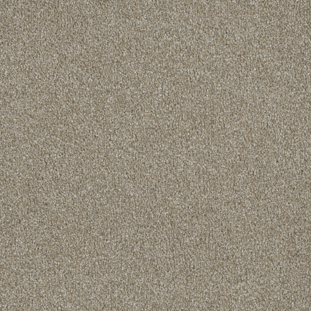 Medallion1 Flooring - MAJE298 – Medallion1 Collection – Carpet