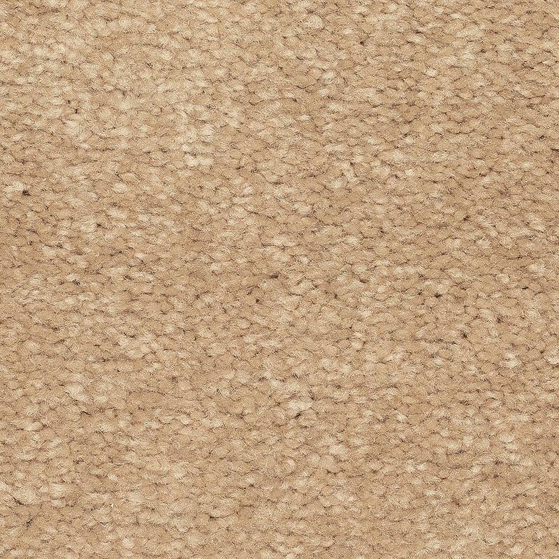 Mohawk Flooring - Michigan - Lakewood Drive I - SmartStrand - Carpet