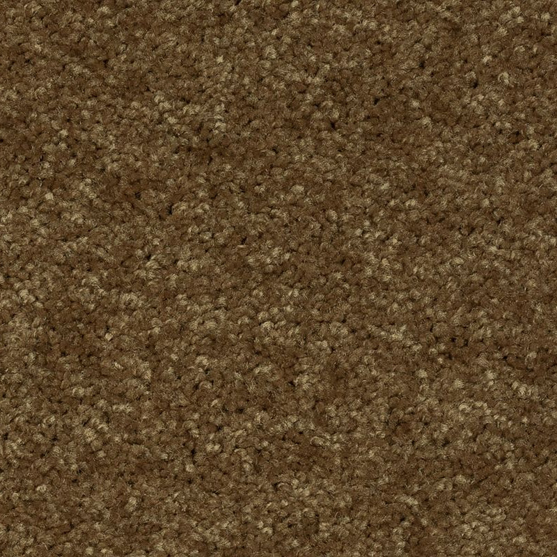 Mohawk Flooring - Rich Earth - Weston Manor - EverStrand - Carpet